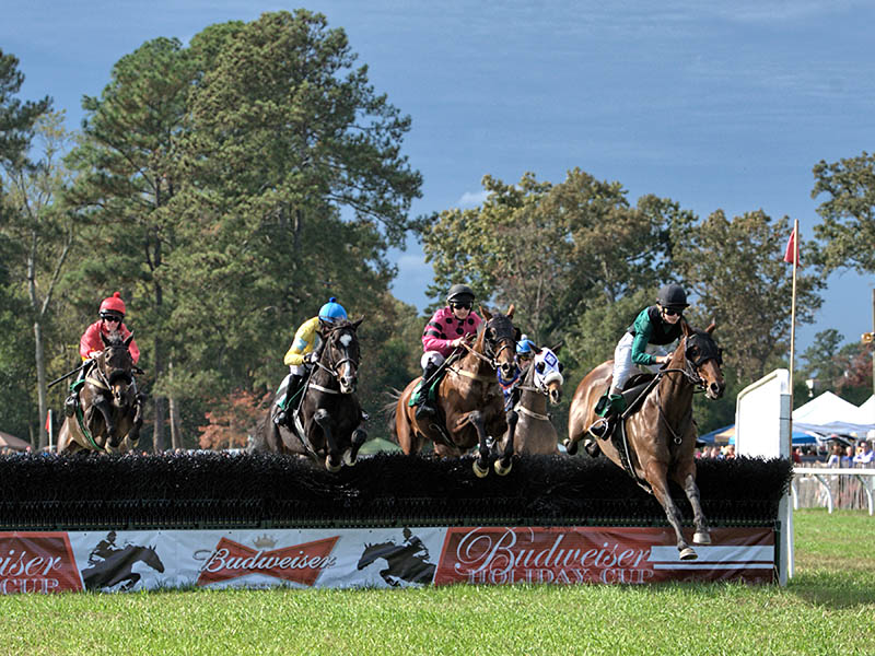 Aiken Steeplechase Association Southern Strides